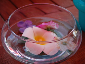 琵琶湖湖岸のＲカフェ